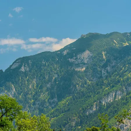 Untersbergblick 아파트 *