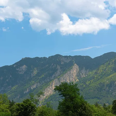 Untersbergblick 아파트 피딩